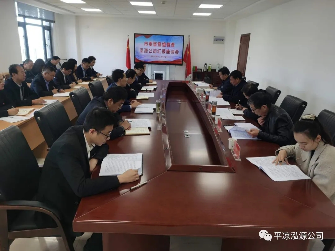 市委辦公室、市政府國資委督查泓源公司工作(圖4)